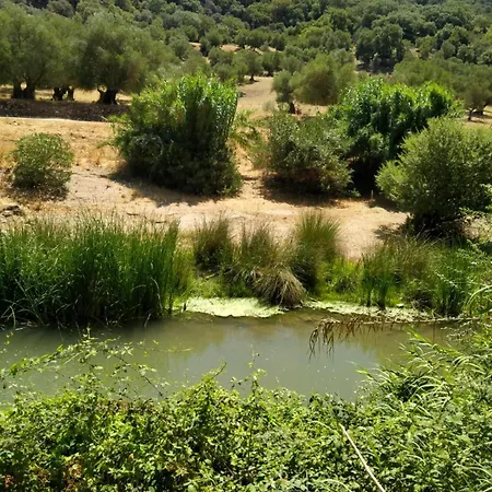 Holiday home Molino Del Caracol