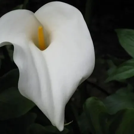 펜션 Molino Del Caracol