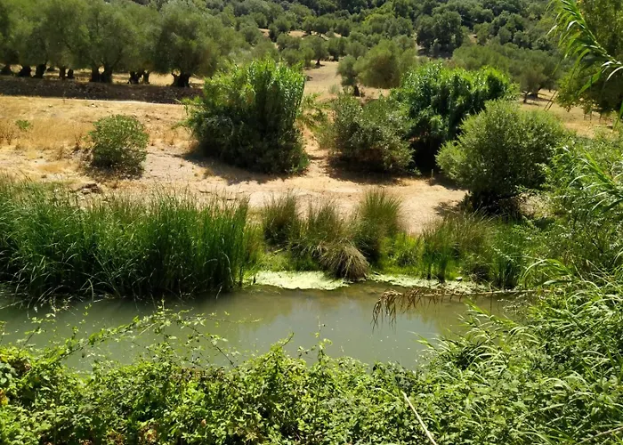 Сasa de vacaciones Molino Del Caracol